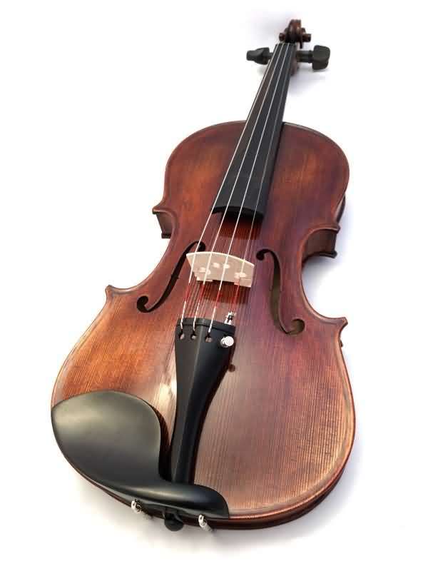 messina violin front